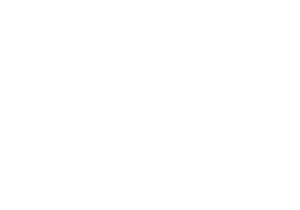 گروه جهادی شهید رضوی